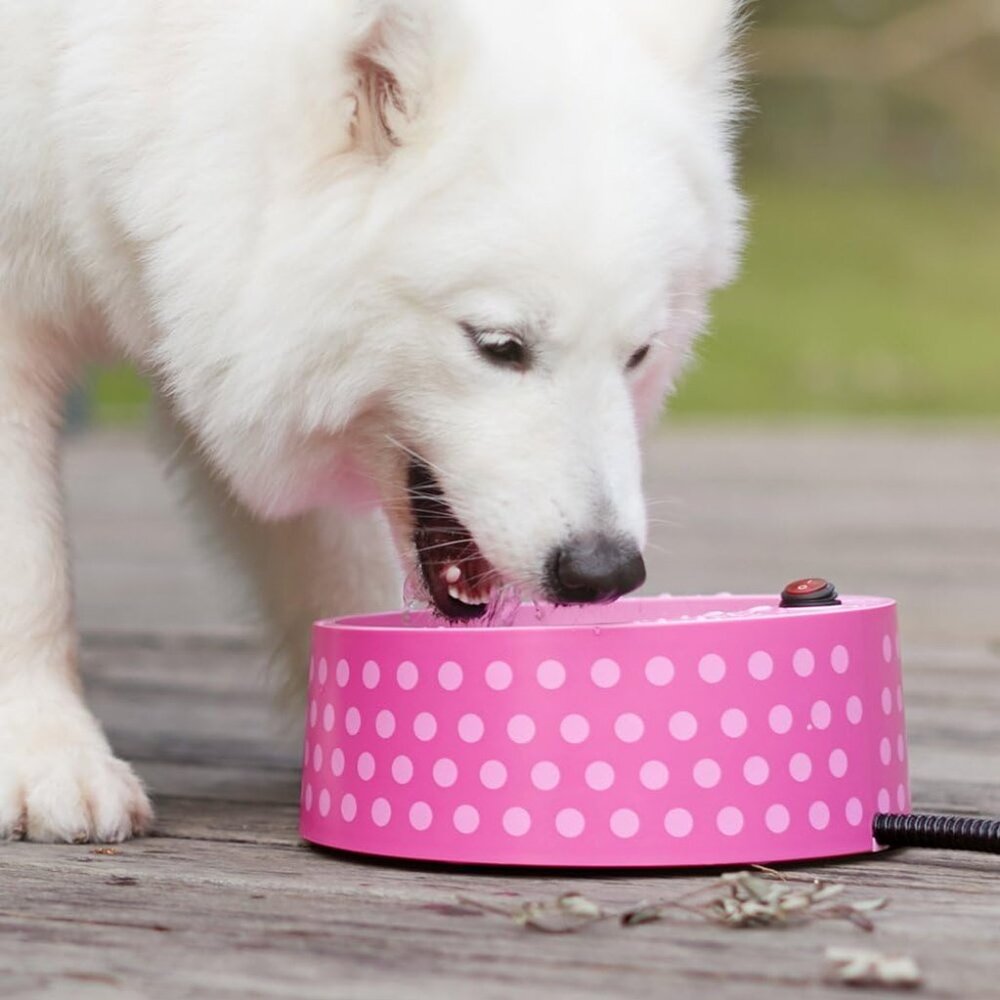 Heated Pet Bowl, Outdoor Pet Thermal Water Bowl, Dog Cat Heated Water Bowl with